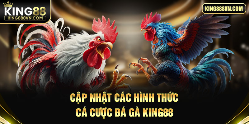 Cập nhật các hình thức cá cược đá gà King88