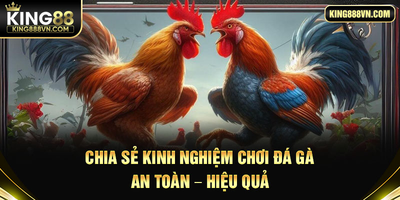 Chia sẻ kinh nghiệm chơi đá gà an toàn - hiệu quả