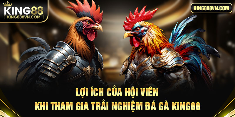 Lợi ích của hội viên khi tham gia trải nghiệm đá gà King88