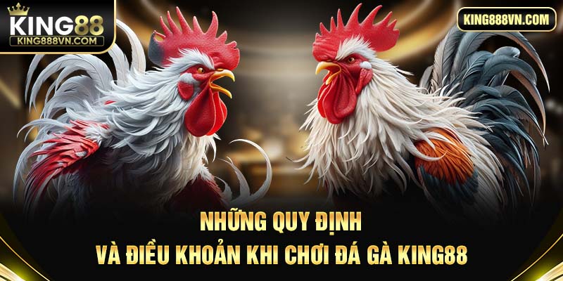 Những quy định và điều khoản khi chơi đá gà King88