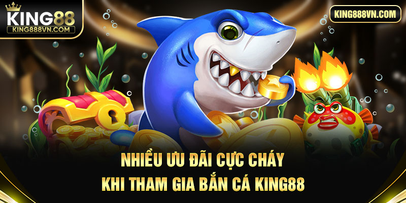 Nhiều ưu đãi cực cháy khi tham gia bắn cá King88