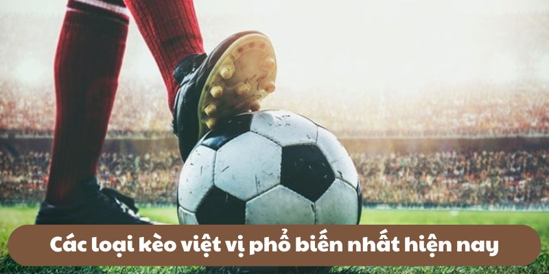 Các loại kèo việt vị phổ biến