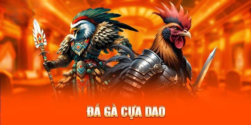 Tại sao nên tham gia đá gà cựa dao King88