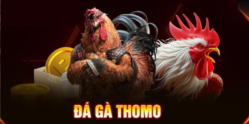 Các loại hình đá gà Thomo phổ biến