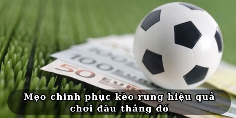 Mẹo chinh phục kèo rung hiệu quả