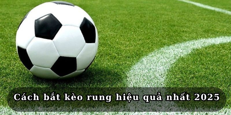 Tìm hiểu các cách bắt kèo rung hiệu quả